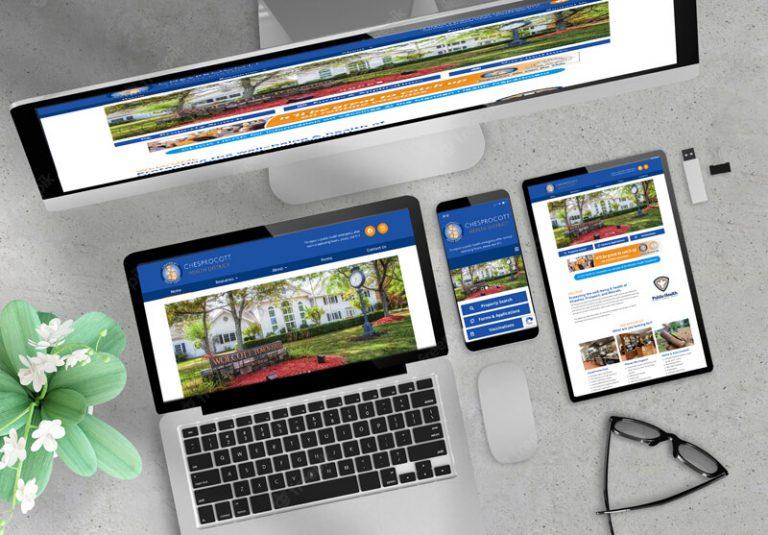 Professional web design services